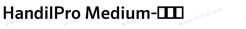 HandilPro Medium字体转换